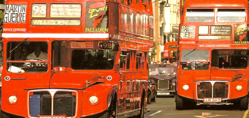 Buses